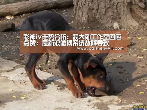 彩神iv走势分析:魏大勋工作室回应点赞:是新浪微博系统故障导致(图3) 彩神iv