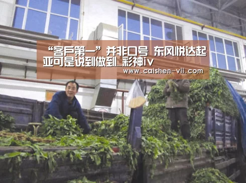 “客户第一”并非口号 东风悦达起亚可是说到做到_彩神iv(图1) 彩神iv官网
