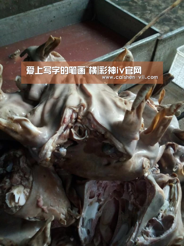 爱上写字的笔画~横|彩神iv官网(图2) 彩神iv官网