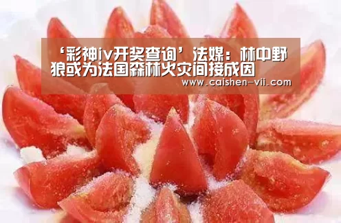 彩神iv走势分析