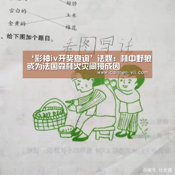 彩神iv走势分析