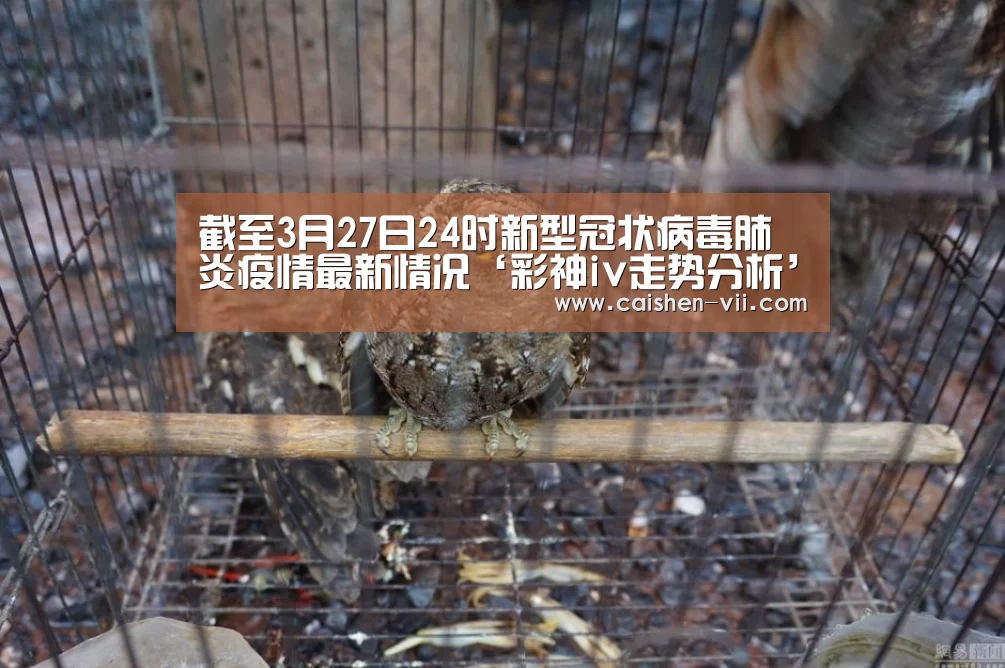 截至3月27日24时新型冠状病毒肺炎疫情最新情况‘彩神iv走势分析’(图2) 彩神iv官网