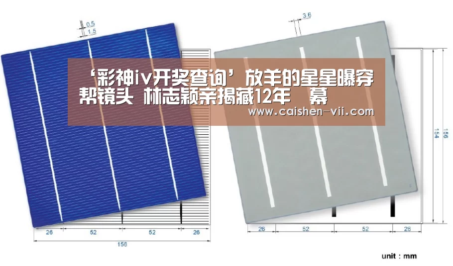 ‘彩神iv开奖查询’放羊的星星曝穿帮镜头 林志颖亲揭藏12年內幕(图2) 彩神iv